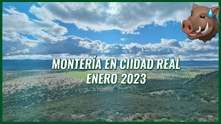 🐗 Montería de JABALÍES en Ciudad Real 🐗 2023 [upl. by Narret]