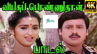 Vayasu Ponnuthan வயசு பொண்ணுதான் KSChitra Love H D Song [upl. by Acimad]