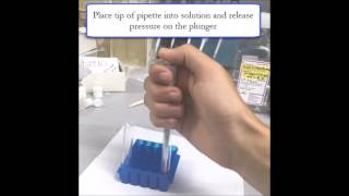 How to Pipette 10 Microliters [upl. by New95]