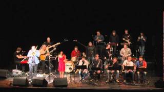 son of a preacher man lungau big band [upl. by Ivett771]