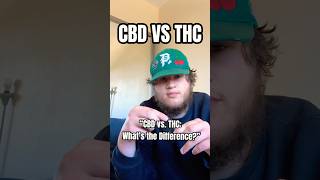 THC VS CBD EXPLAINED shorts subscribe fypシ゚viral [upl. by Ezmeralda817]