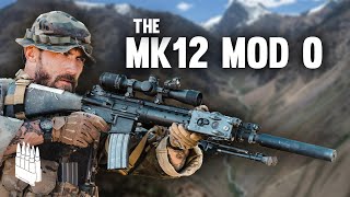 The Mk12 The Most Kills of Any Precision Rifle in the US Military [upl. by Ocire831]