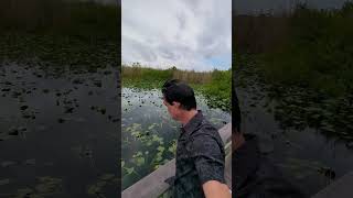 Thrilling Everglades Exploration Anhinga Trail Expedition [upl. by Husch78]