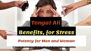 Tongkat Ali Benefits for Stress and Potency for Men and Woman [upl. by Huberty]