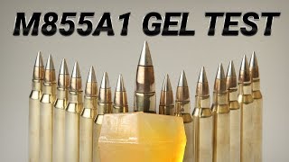 The Armys New Ammo Is a Long Distance Devastator  M855A1 Gel Test [upl. by Ytsenoh]