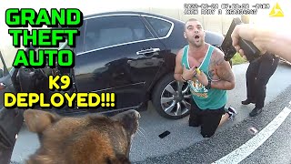 Busted for Grand Theft Auto and Striking a Police Dog  Miami Florida  June 20 2022 [upl. by Oterol]