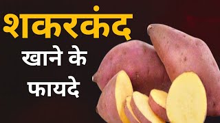 शकरकंद खाने के फायदे  Shakarkandi Benefits in hindi  Sweet Potato Benefits [upl. by Swords]