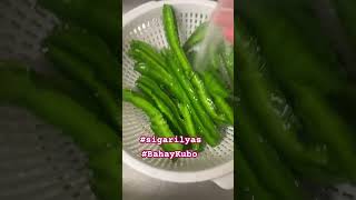 bahaykubo sigarilyas gulay vegetables fresh organic asmr [upl. by Abramson563]