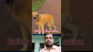 Editor ko dil se salam 😅trending funny shortsfeed youtubeshorts viralshorts [upl. by Leva480]