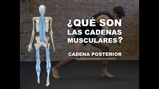 VÍAS ANATÓMICAS  Anatomía y principales características de la CADENA POSTERIOR [upl. by Yrral]