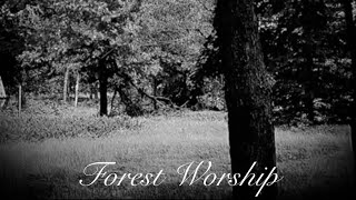 EnderJake100 official release Forest Worship [upl. by Enaej341]