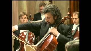 Mischa Maisky  Haydn  Violin Concerto No 4 in G major [upl. by Nommad]