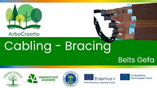 Elearning  Cabling  Bracing  2  Belts Gefa [upl. by Anits]