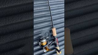 Gorgeous Super Ultralight Shimano Cardiff SUL amp Soare 500 ultralightfishing panfish bluegill [upl. by Lah]