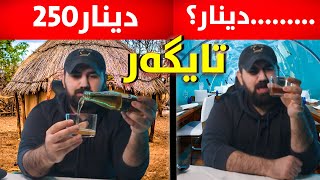 هەرزانترین تایگەر تاوەکوو گرانترین تایگەرم تاقی کردەوە [upl. by Thedric]