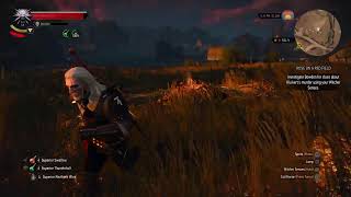 The Witcher 3 Wild Hunt [upl. by Adelaida30]