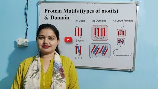 Protein Motifs amp Domains  Types of Motifs [upl. by Vorster]