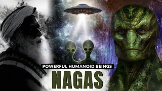 NAGAS THEY CAME FROM OTHER DIMENSION  The TRUTH About Other Dimensions  Physics  Sadhguru [upl. by Pamella928]