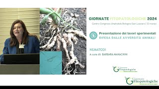 GF 2024  Presentazione dei lavori sperimentali su nematodi [upl. by Herve]