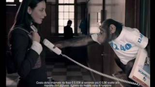 TV Spot 1240 Pagine Bianche quotSpringquot by italian TVC Director Francesco Nencini [upl. by Adnilav]