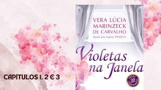 VIOLETAS NA JANELA  CAPÍTULOS 123 [upl. by Campos]