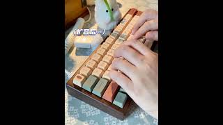 Kailh Box Coconut Latte Switch mechanicalkeyboardswitches keyswitchshorts [upl. by Conners750]