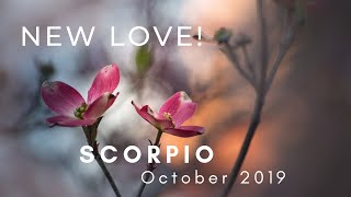 SCORPIO New Love October 2019 [upl. by Arrimat]