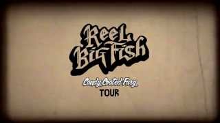 Reel Big Fish  live in concert  Arena Wien Trailer [upl. by Onifled216]