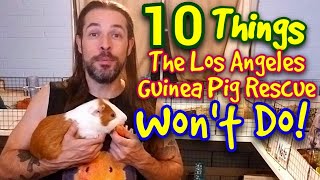 10 Things The LA Guinea Pig Rescue Wont Do [upl. by Adiaroz]