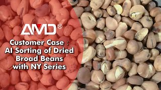 DriedBroadBeans AI Sorting with AMD® NYKPE [upl. by Zaller]