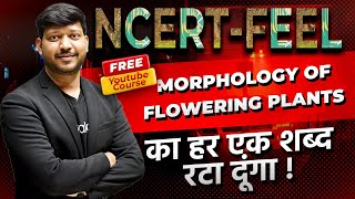 Chapter5 Morphology of Flowering Plants  360360 NCERT Feel Series neet2024 NEETkakaJEE [upl. by Adnirak]