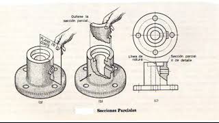 6 Cortes y secciones [upl. by Narmis]