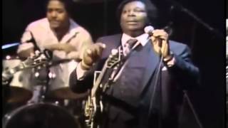 B B King Live in Dallas 1983 Full Concert [upl. by Suoiradal]