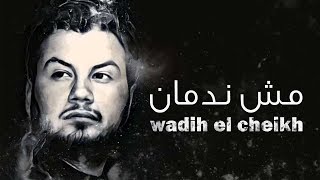 Wadih El Cheikh  Mech Nedman  وديع الشيخ  مش ندمان [upl. by Mihalco]