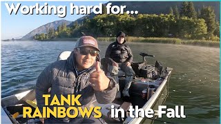 Fly Fishing Lakes in BC Tank Rainbow trout in the fall [upl. by Eibrad]