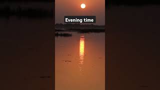 Evening time vlogsvideo [upl. by Anselmi]