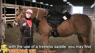 Treeless Saddle Series  What accessories should I use with my treeless saddles [upl. by Cleo553]