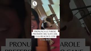 Pronuncia le parole preferite del suo cane lui reagisce così [upl. by Takeo691]