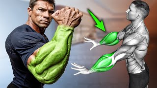 How to Get Veiny Arms 5 Forearms Workout [upl. by Muller]