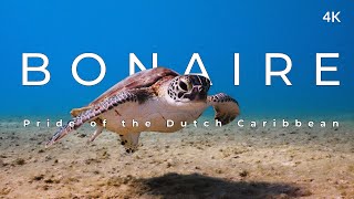 This is Bonaire 4k  Pride of the Dutch Caribbean [upl. by Esinyt]