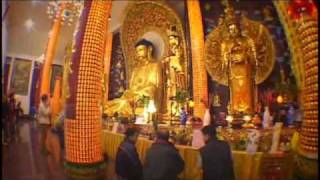 International Buddhist Temple introduction video English [upl. by Amaryl246]