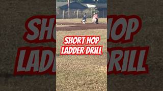 Youth ladder drill hawaii baseball infield baseballdrills [upl. by Ylreveb]