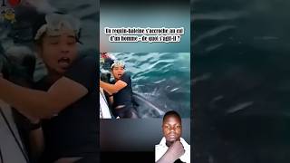 un requinbaleine saccroche au cul dun homme de quoi sagit il  creative tiktok video shorts [upl. by Tristam79]