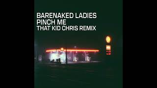 Barenaked Ladies  Pinch Me That Kid Chris Remix [upl. by Jos]