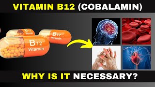 The Power of Vitamin B12  10 Vital Reasons You Need It Daily [upl. by Chil]