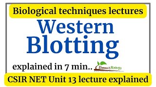 Western blotting technique animation  Western blotting principle procedure explained [upl. by Mia]