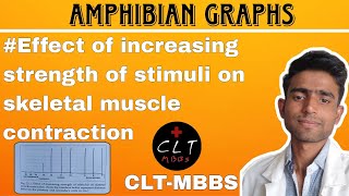 Effect of Increasing Strength of Stimuli on Skeletal Muscle Contraction  Amphibian graphs  MBBS [upl. by Calan]