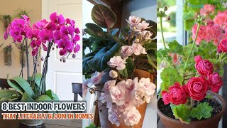 8 Best Indoor Flowers that Literally Bloom in Homes [upl. by Aslam]