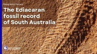 The significance of the Ediacaran fossil of South Australia for understanding animal life on Earth [upl. by Grania]