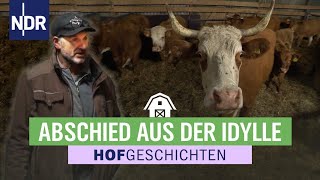 Rinder wollen nicht ihren Hof verlassen  Hofgeschichten Leben auf dem Land 257  NDR [upl. by Ackerley]